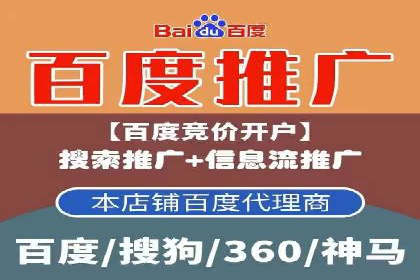 成功案例解析：SEO与SEM协同营销策略